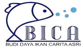 Logo_BICA-removebg-preview
