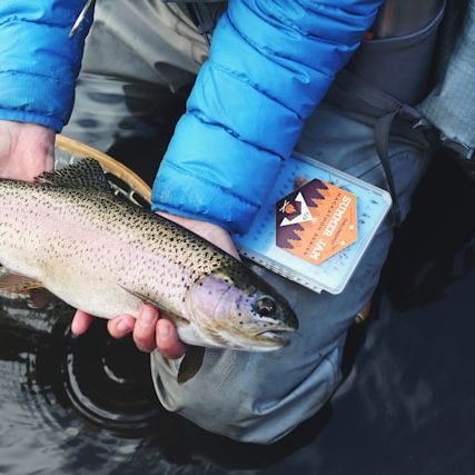 sticker-mule-qNhstTawQrI-unsplash